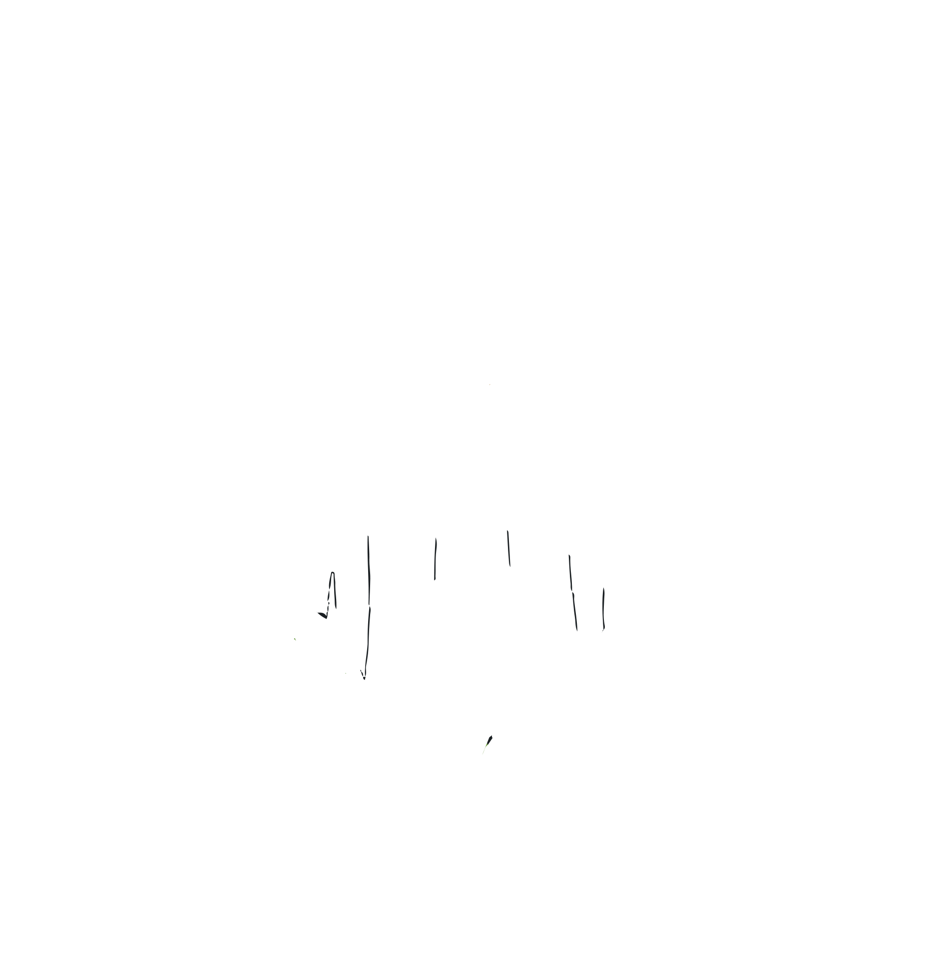 Stone Charity Organization - Logo White